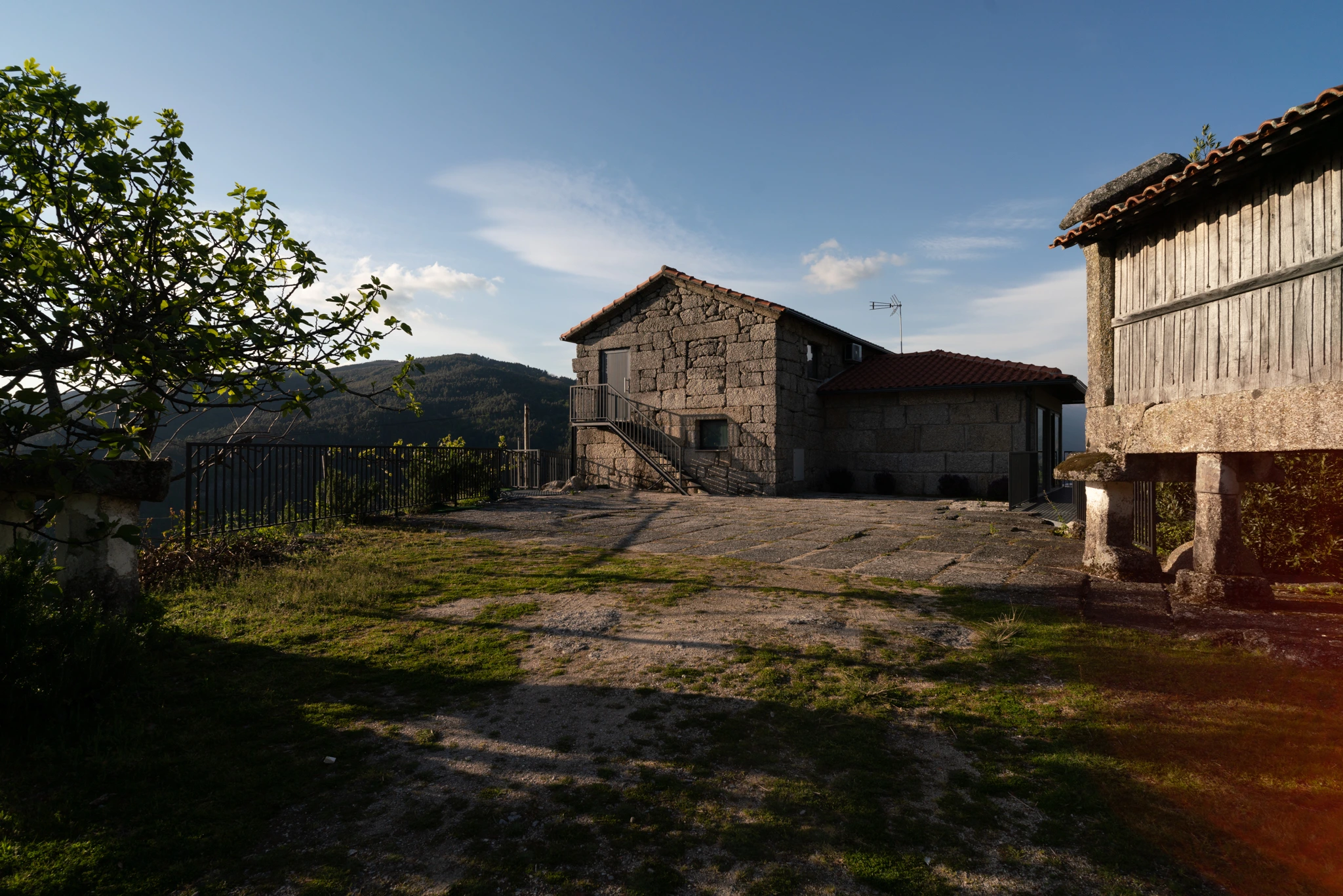 Quinta 6