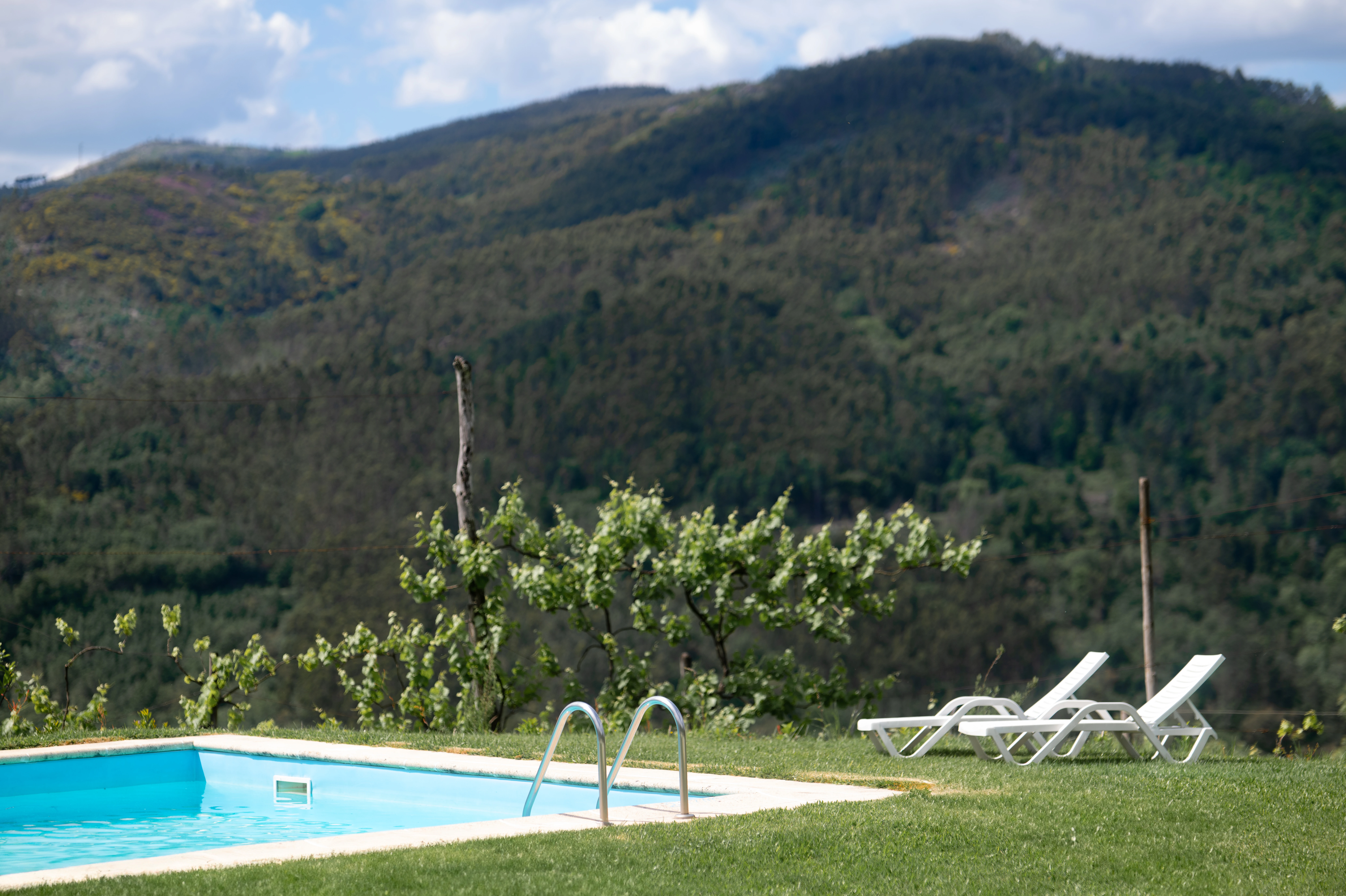Quinta 8